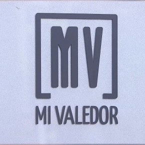 REVISTA MI VALEDOR
