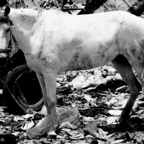 MARCOS BETANZOS. FOTÓGRAFO DE CIUDAD