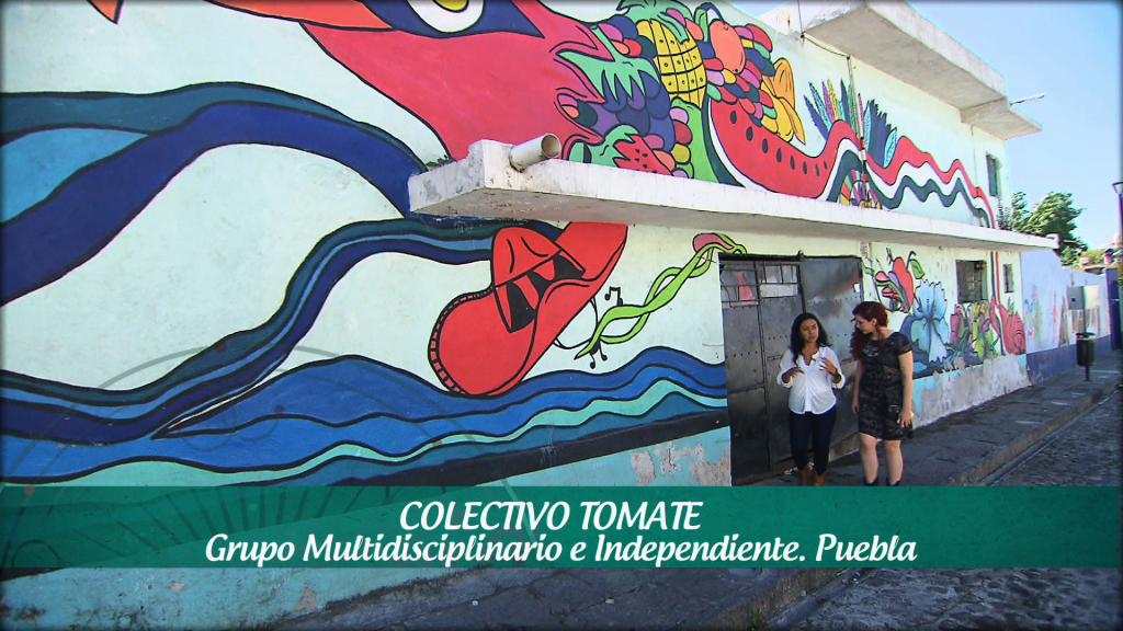 COLECTIVO TOMATE