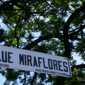 JUEGOS INFANTILES EN LOS PARQUES