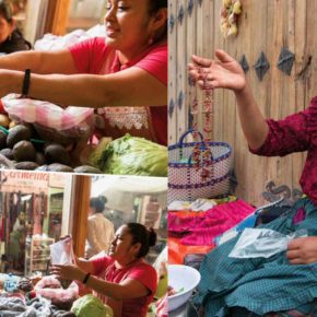 ACRIDOFAGIA Y OTROS INSECTOS