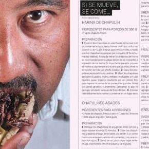 ACRIDOFAGIA Y OTROS INSECTOS