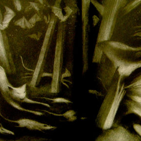 LIBRO “SNOWHITE”