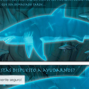 “AMAUKUA.TIBURONES EN PELIGRO” Mauricio Hoyos