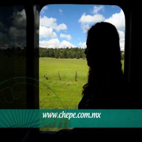 Tren CHEPE
