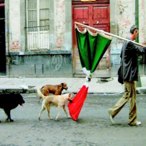 EL LIBRO ROJO. ANTOLOGÍA REALIZADA POR GERARDO VILLADELÁNGEL