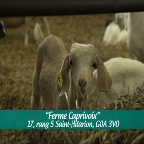 FERME CAPRIVOIX