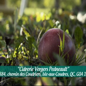 CIDRERIE VERGERS PEDNEAULT