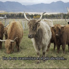 FERME CAPRIVOIX
