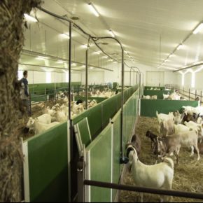 FERME CAPRIVOIX
