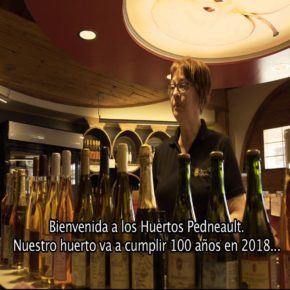 CIDRERIE VERGERS PEDNEAULT