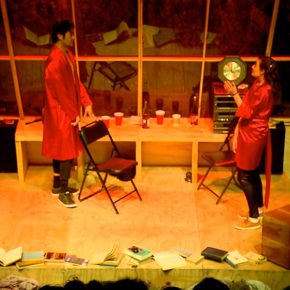 LA METÁFORA DE LAS AVES