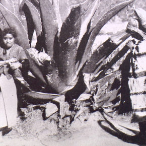 MUSEO DEL PULQUE Y LAS PULQUERÍAS