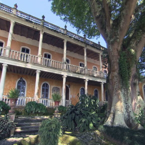 LA CEIBA GRÁFICA