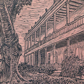 LA CEIBA GRÁFICA