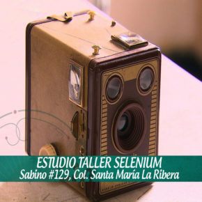 TALLER SELENIUM