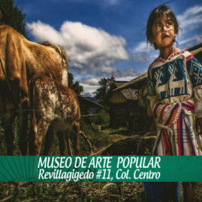 MÉXICO TEXTIL SUR/ SURESTE