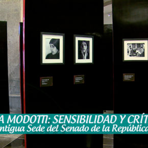 TINA MODOTTI: SENSIBILIDAD Y CRÍTICA