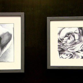 TINA MODOTTI: SENSIBILIDAD Y CRÍTICA