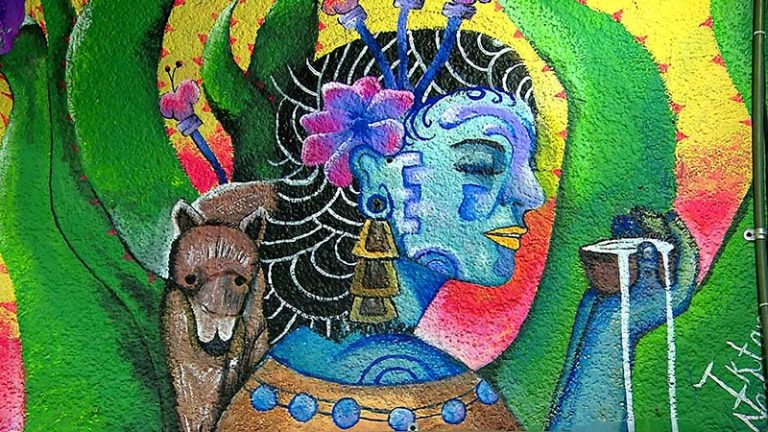 PULQUERÍA LA ROSITA