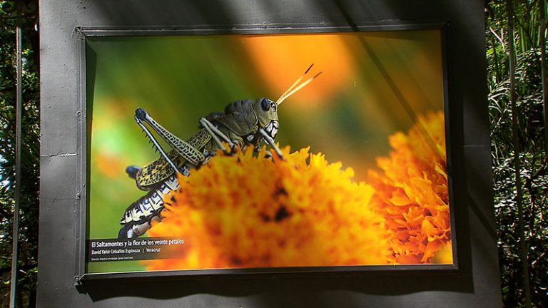 La exposición Visiones de nuestra naturaleza