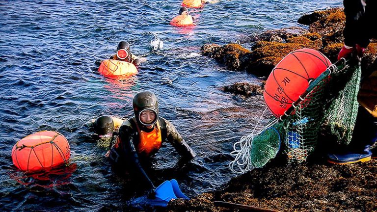 HAENYEO. LAS BUCEADORAS COREANAS DE JEJUMUSEO NACIONAL DE LAS CULTURAS DEL MUNDO Buceadoras
